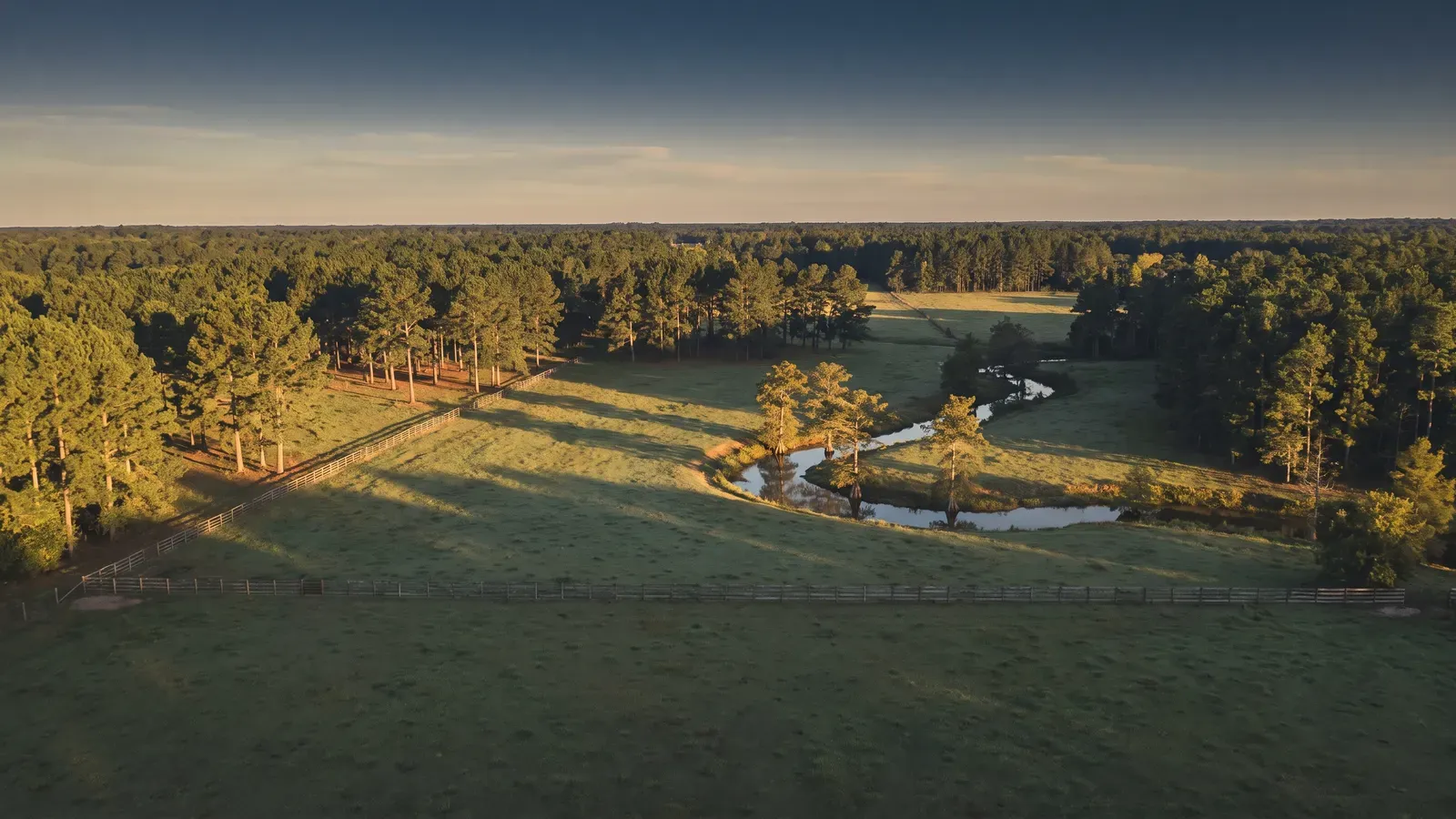 Golden-hour drone view of Gulf South land — pine timber, open pasture, and a winding creek in warm early light