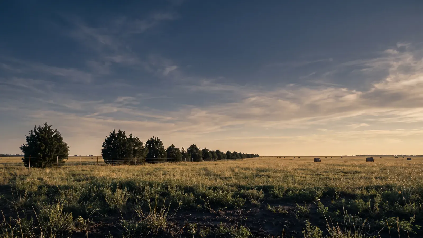 Landscape typical of Clay County, Mississippi