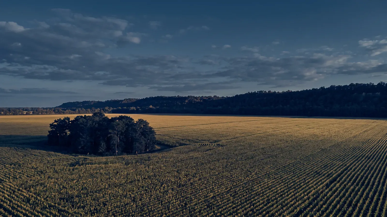 Landscape typical of Yazoo County, Mississippi